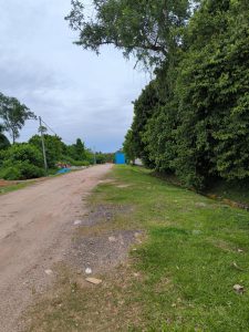 Access road to plot 546